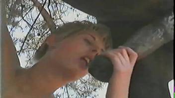 Blonde-haired nude female draws near to a horse to perform fellatio on its large penis