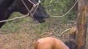 Strong scenes of outdoor horse shagging with women addicted to the giant cock