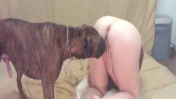 Blonde with perky tits puts on a webcam show with a dog