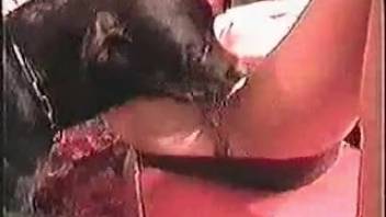 Unfaithful spouse recorded while indulging in bestiality with the canine