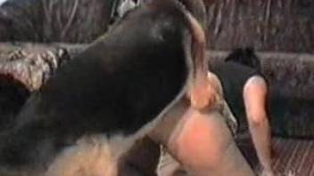 Good trained shepherd licked and fucked my wife with hole