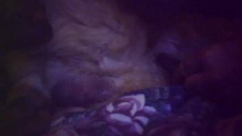 Midnight animal passion in furry style on webcam