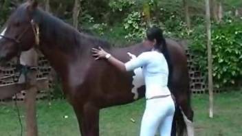 Ponytailed Latina strips to her lingerie to tease a horse