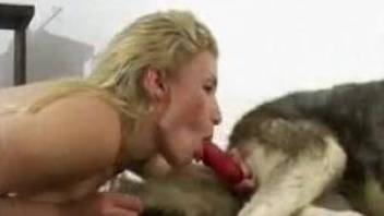Compilation of hot ass women sucking hard on dog cock