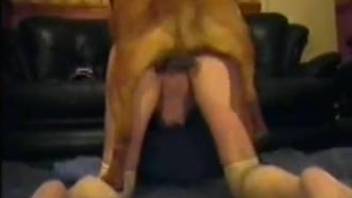Milf filmed when trying dog porn for the first time