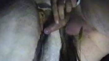 Horny dude loves fingering the horse's ass and vagina