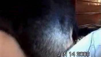 Sexy amateur lady doing furry dog adult content on webcam