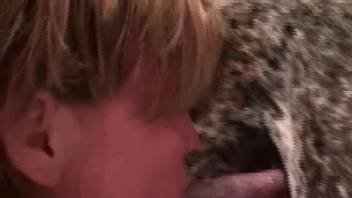 Experienced seductress deepthroating a canine's thick erection live on webcam