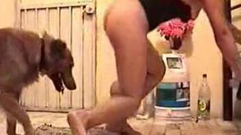 Home alone wife ends up sucking the dog cock