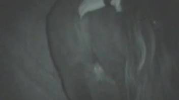 Midnight equine bestiality filmed on camera