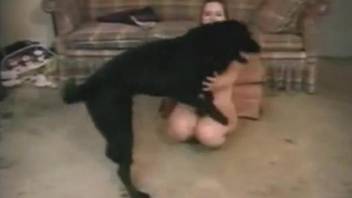 Teen gets banged by a black dog on the floor