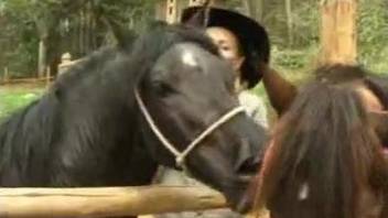 Three cowgirls encounter a horse and suck its massive cock
