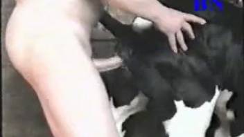 Collection of the steamiest male animal sex encounters