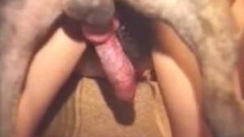 Two girls, one guy, and one dog in a hot orgy video