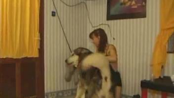 Horny dog cums in the mouth of a bitchy zoophile slut