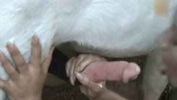 Dark-haired woman with a ponytail gulping down fresh horse semen