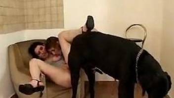 Two leggy zoophile girlfriends fuck a very hung dog