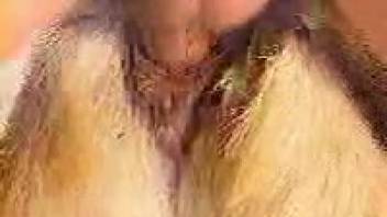 Intense close-up footage of profound beastly rear-end insertion