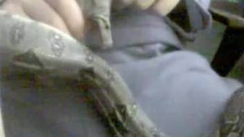 Iconic animal sex clip showing a guy throat-fucking a serpent