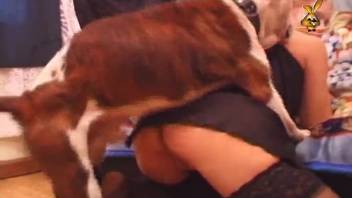 Homemade dog-related adult content in intense encounters with a sexy blonde