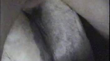 Midnight equine pornography featuring a guy and his stud horse