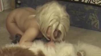 Beauty in a wig deepthroats a dog's big dick