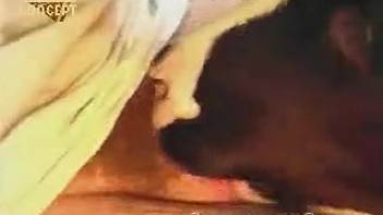 Frightened-appearing woman blowing a guy's huge dick