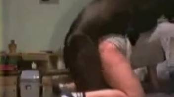 Secret surveillance video capturing explicit animal-human intercourse