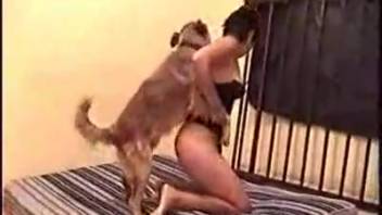 My eager beast-loving spouse is getting frisky with the dog