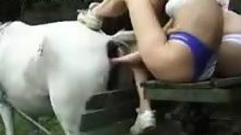 Sexy white mare gets fucked by a kinky trio