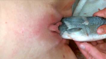 MILF pussy getting plowed with a fish dildo