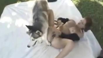 Hairy pussy babe gets  her asshole fucked by a dog