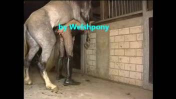 Welsh guy in women's clothes gets screwed by a well-endowed stallion