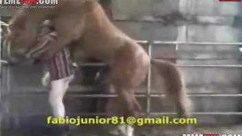 Passionate anal sex with a farmer and his stallion
