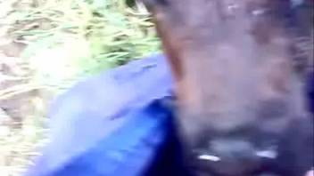 A guy enjoys a fantastic oral session from a filthy creature