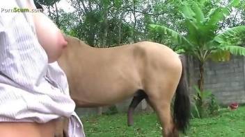 Big-breasted babe sucking on a horse's huge cock