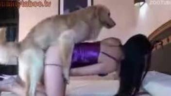 Cam girl appears having sex with her dog in live scenes