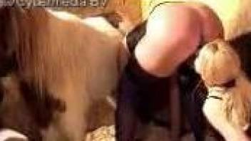 Redhead and blonde are playing with a farm animal
