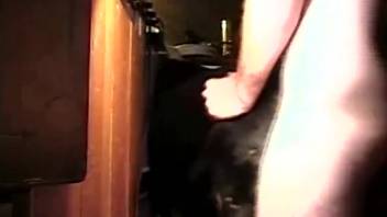 Guy discovers a female horse and pounds her pussy really intensely