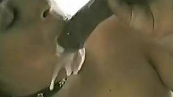 Collared hottie gets her face covered in horse cum