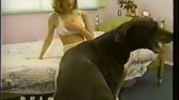 Ebony stud passionately pounds a slim woman doggy-style from the rear