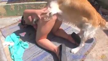 Thick-ass chick getting pounded by a aroused pooch