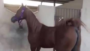 Alluring filly flaunting her delectable-looking cunt