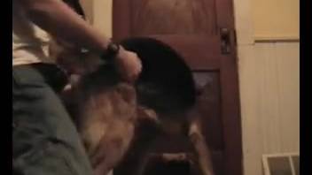 Raunchy beastly encounter with a well-trained dog