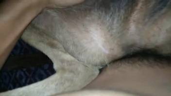 Guy thrusts his dick deep into this beast's snug cunt
