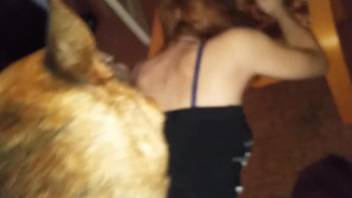 Oozing pussy hottie getting fucked hard by a doggo
