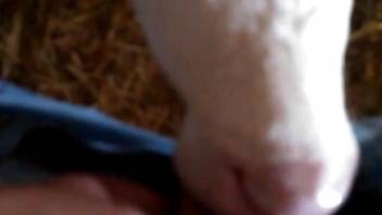 Dude shoves his meaty dick in this cow's horny throat