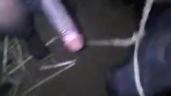 BBC fucking a horny animal in an amateur video