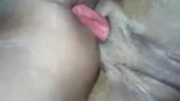 Rough anal pounding with a hot amateur