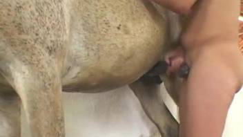 Brunette gets hardly banged by the giant black dick of a horse